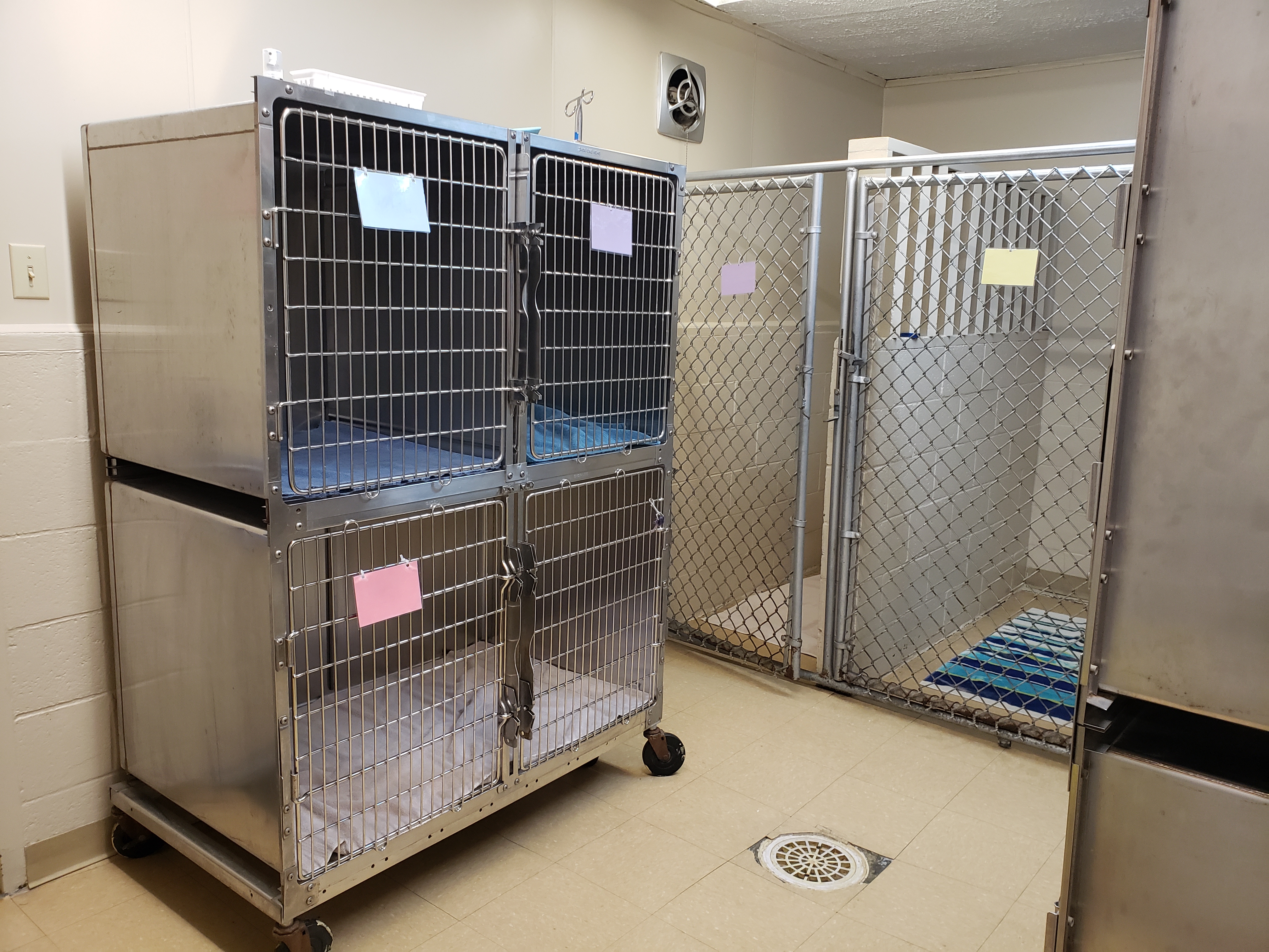 Kennel Area