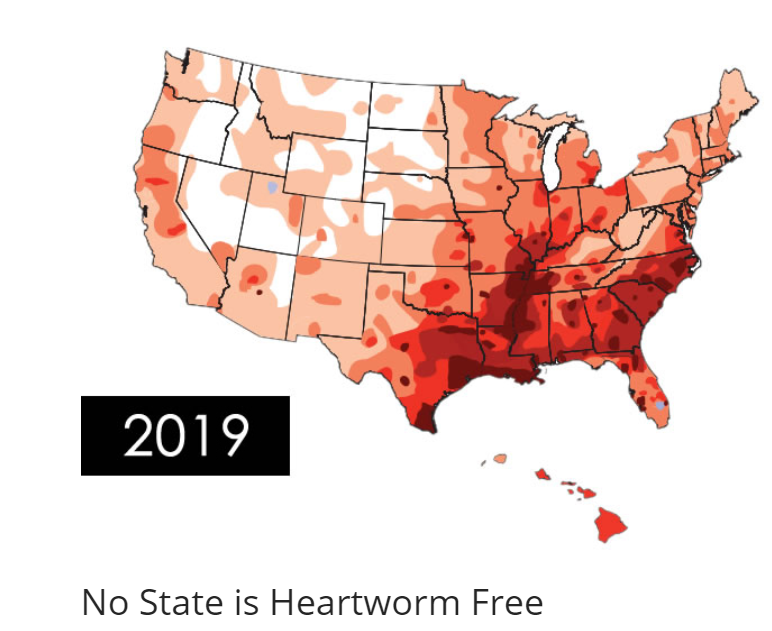 Heartworm Prevention Map